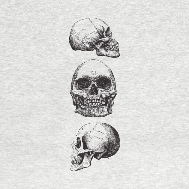 Three skulls by chapter2